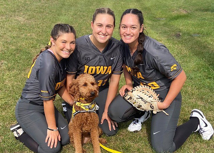 iowa therapy goldendoodle
