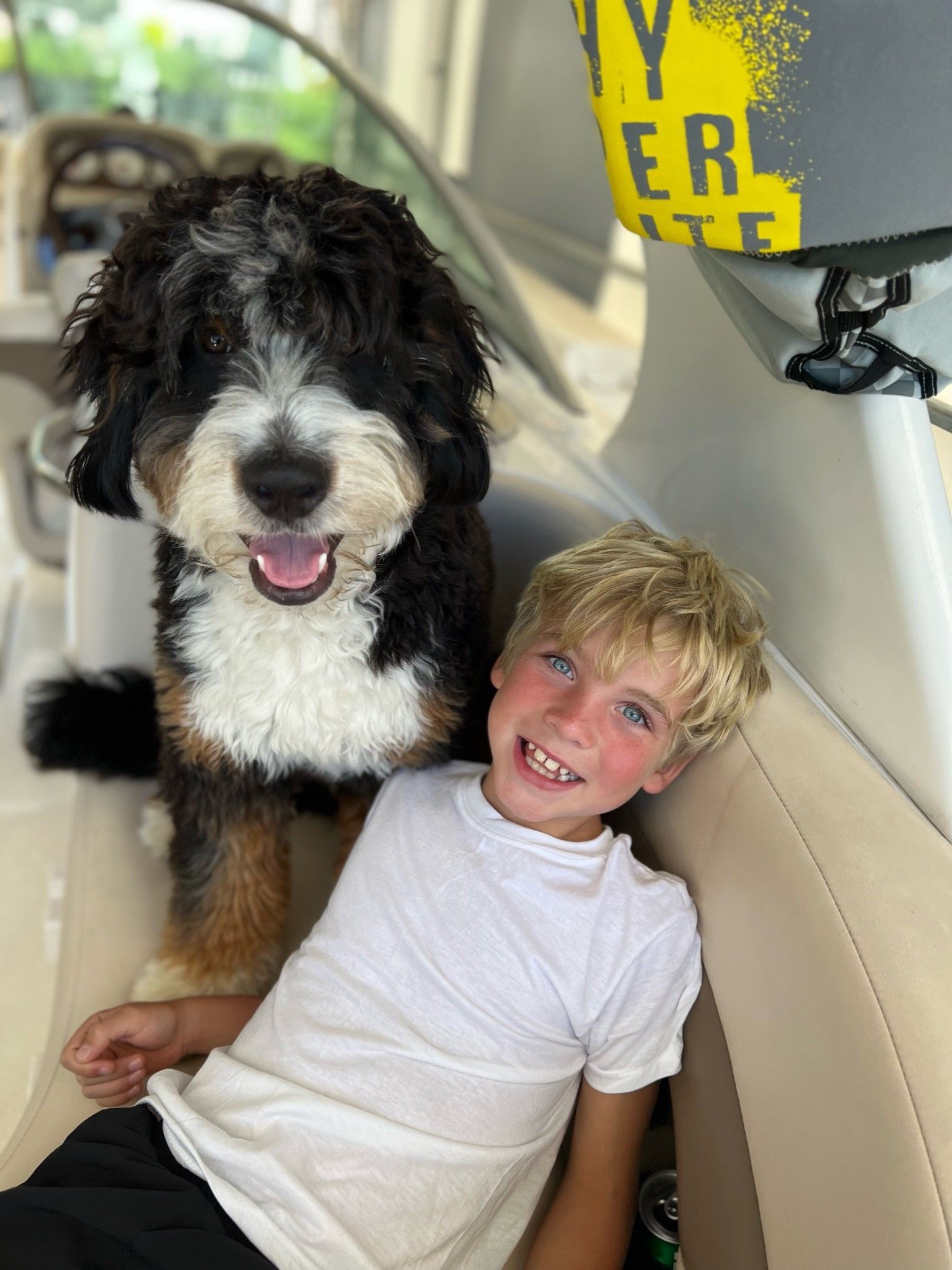 Tricolor Bernedoodle with Young Boy on Boat