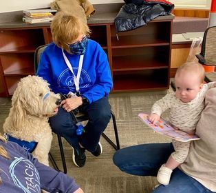 School service dog from Kimberlee's Kennels 