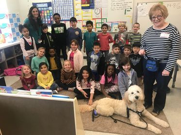 School service dog from Kimberlee's Kennels 