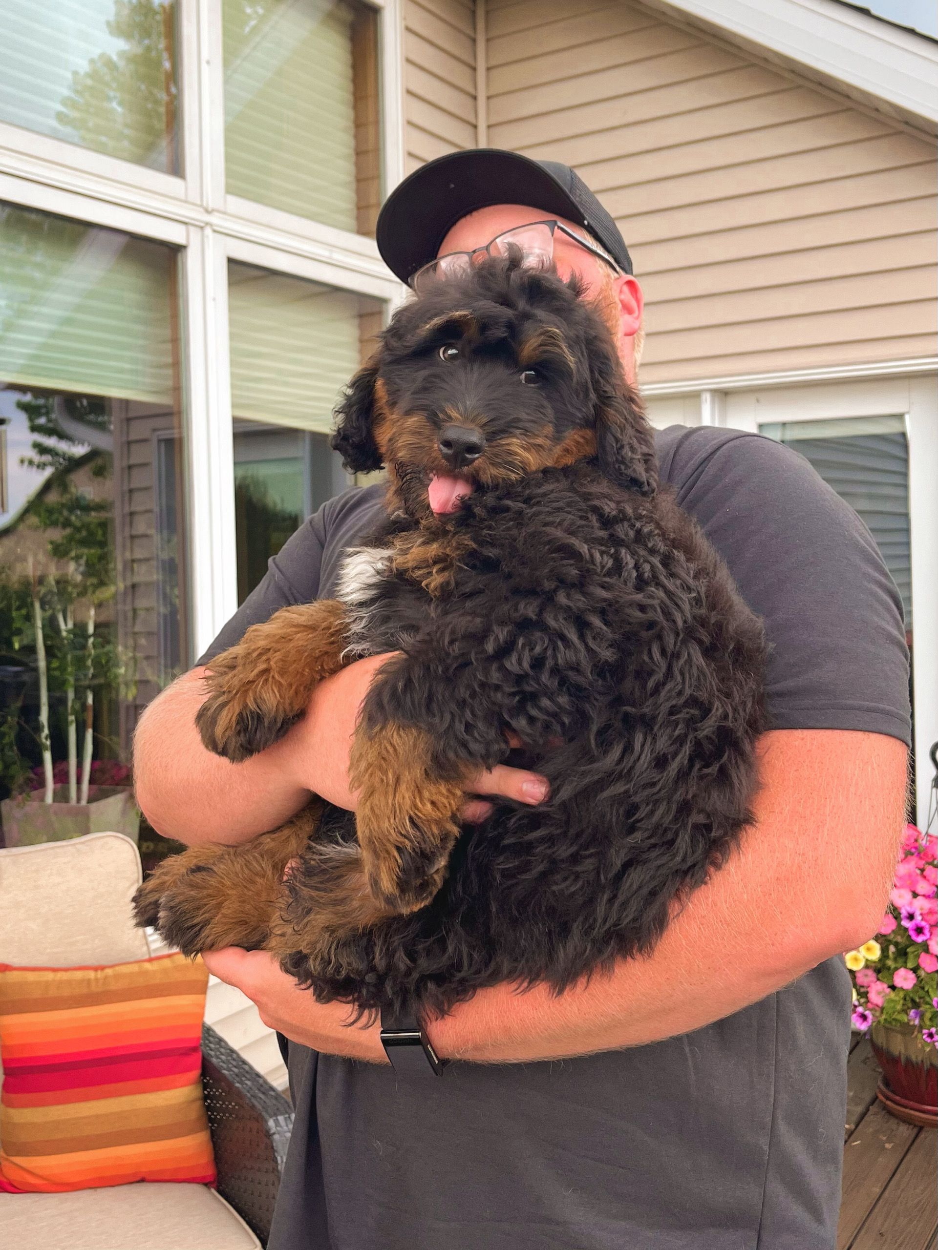 Kimberlee Grinna's son, Grant Grinna holding a miniature F1 bernedoodle puppy outside
