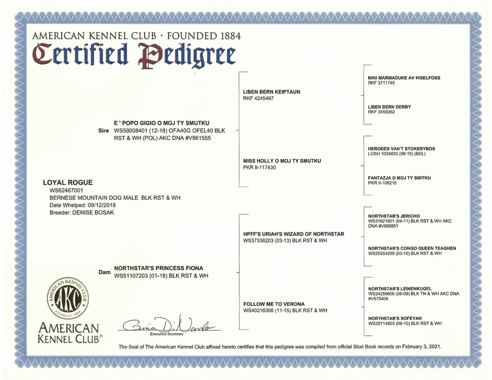 AKC Certified Degree for Parent Dog, ethical health testing 
