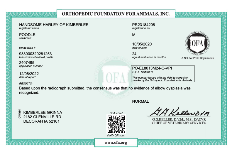 OFA certificate for a male miniature poodle