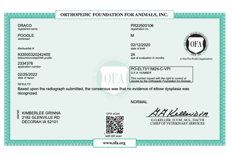 Orthopedic foundation for animals- results for genetic testing, OFA 