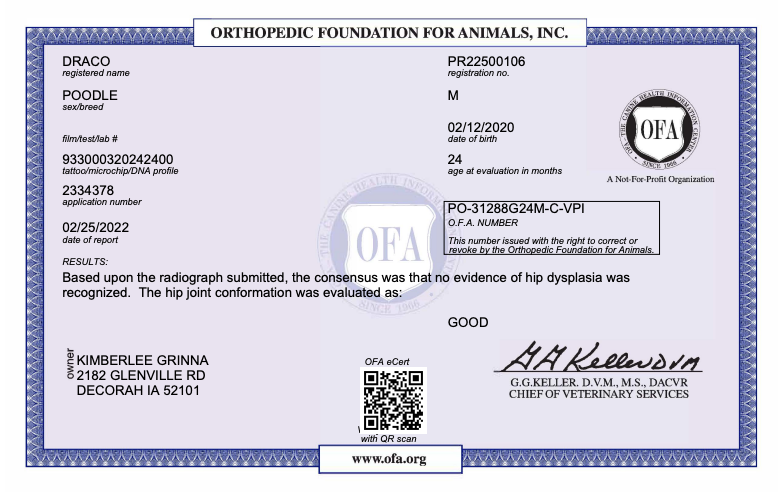 Orthopedic foundation for animals- results for genetic testing, OFA 