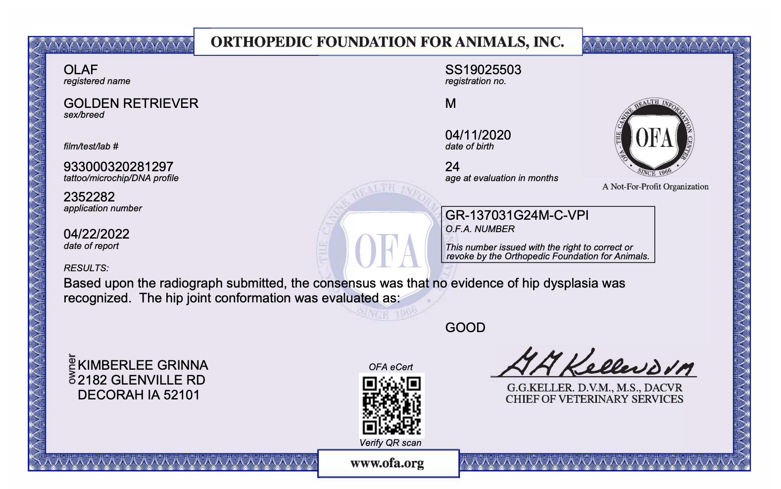 OFA certificate for a male golden retriever