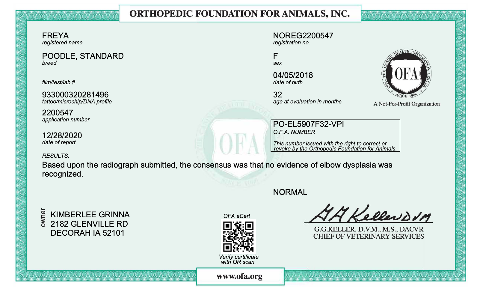 OFA results for a female standard poodle