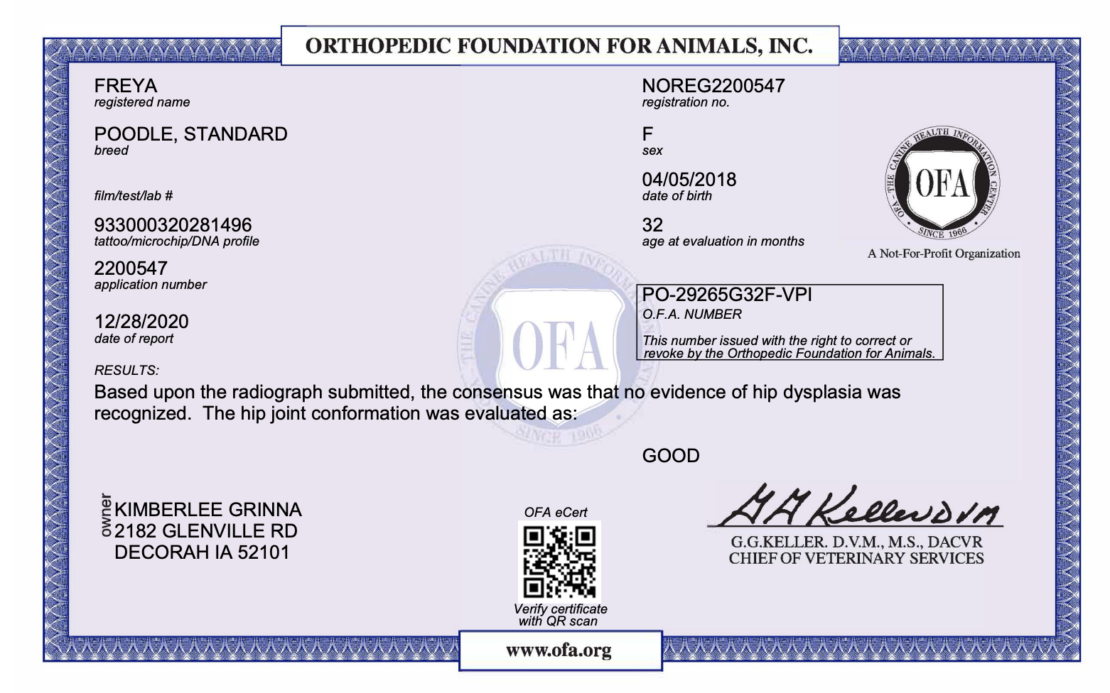 OFA results for a female standard poodle