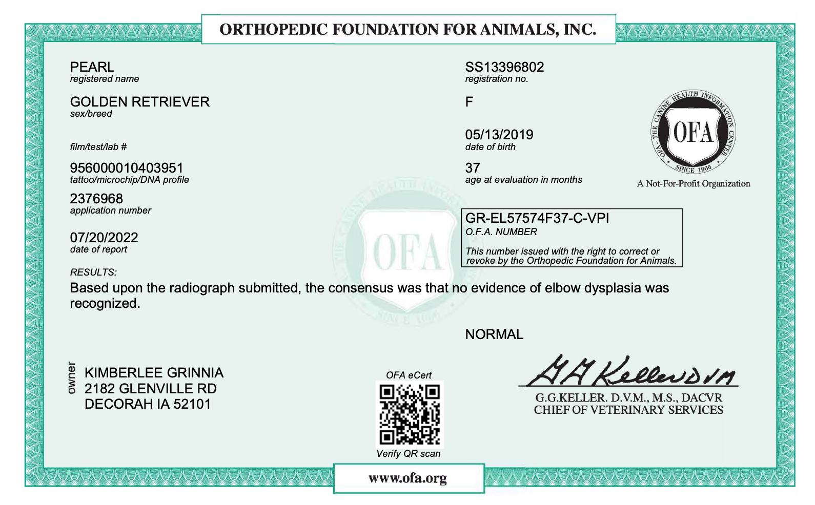 Adult dog OFA results