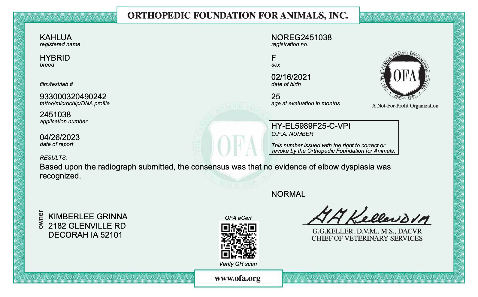 OFA certificate for a mini bernedoodle