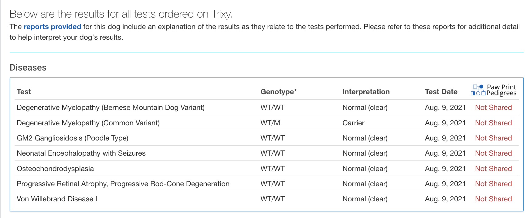 Breed relevant genetic health testing for a female mini bernedoodle