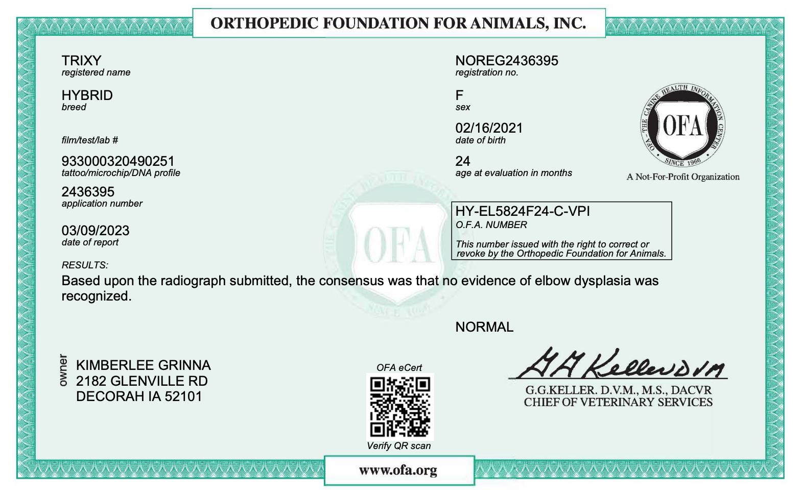 OFA certificate for a mini bernedoodle
