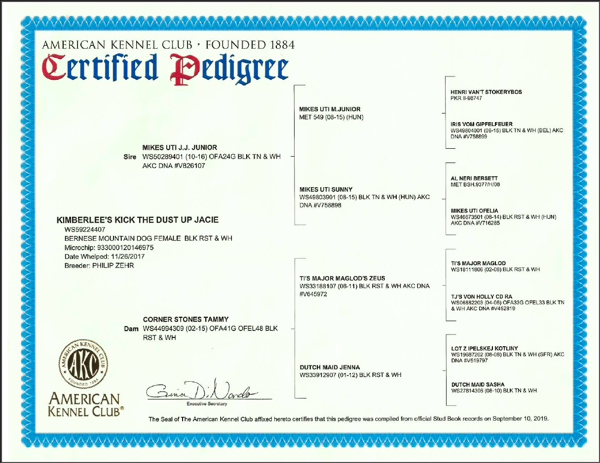 AKC Certified Degree for Parent Dog, ethical health testing