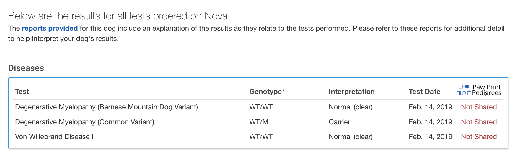 Breed relevant health testing for a Bernese Mountain Dog
