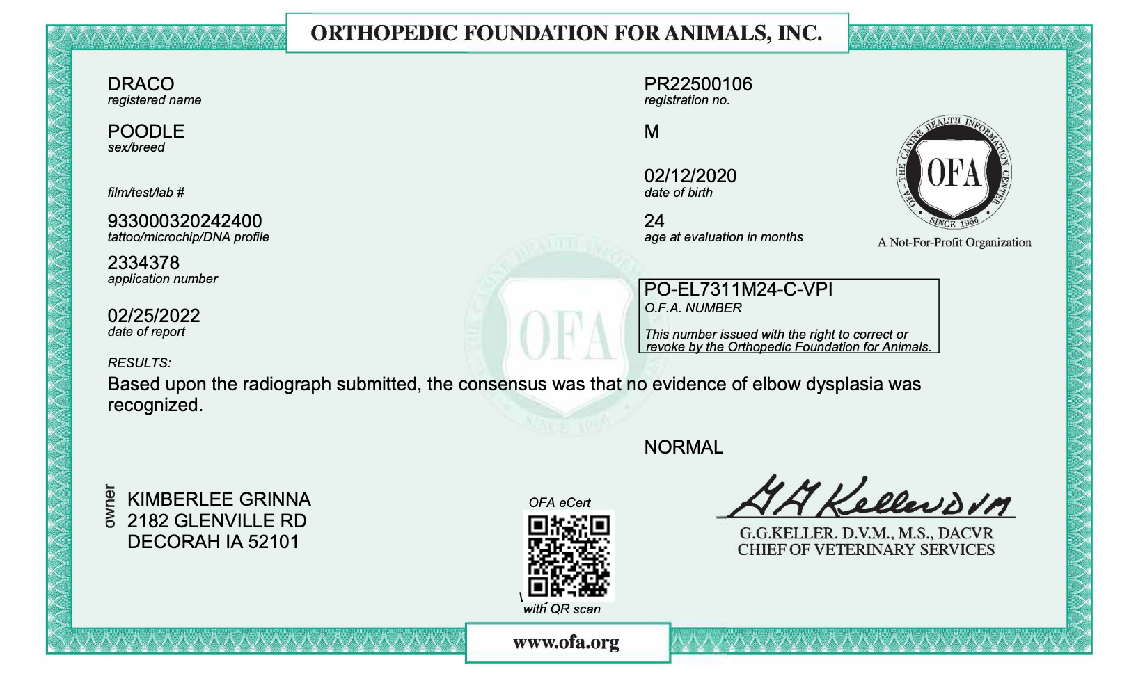 OFA certificate for a mini poodle