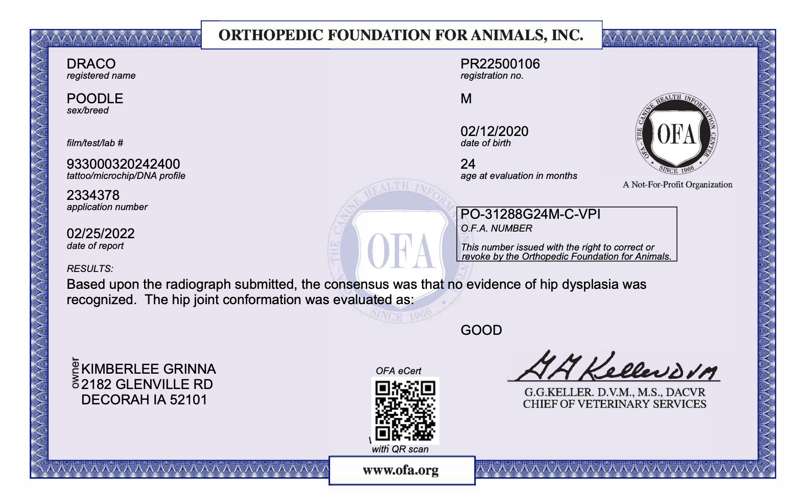 OFA results for a male miniature poodle
