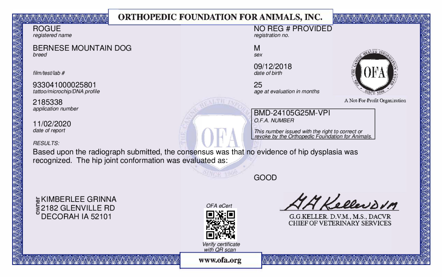 OFA results AKC Certified Degree for Parent Dog, ethical health testing