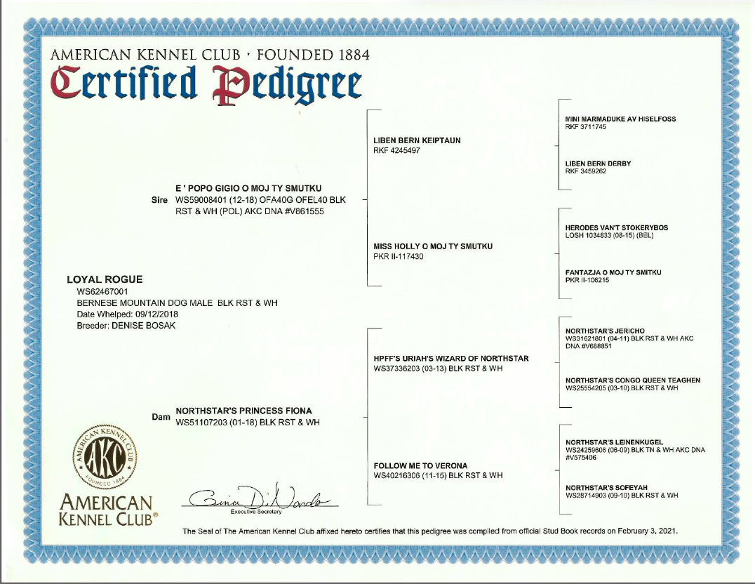 AKC Certified Degree for Parent Dog, ethical health testing