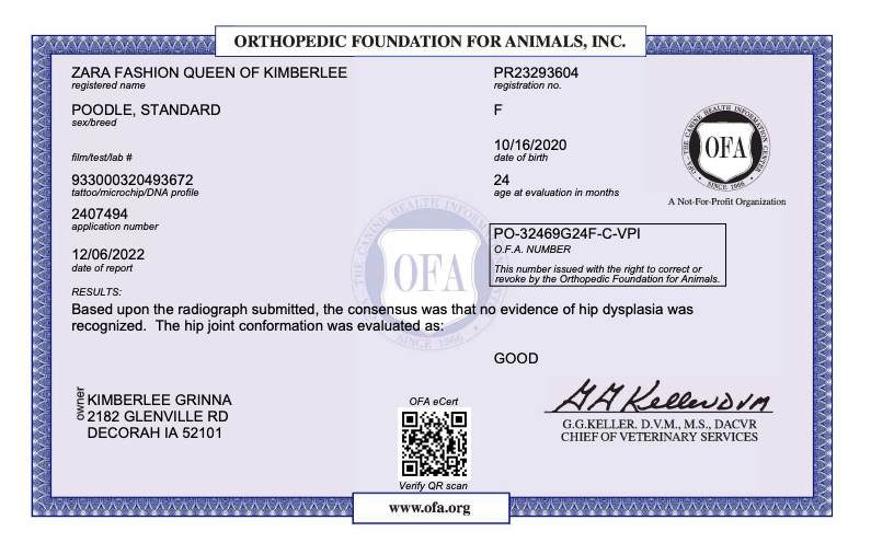 OFA results AKC Certified Degree for Parent Dog, ethical health testing