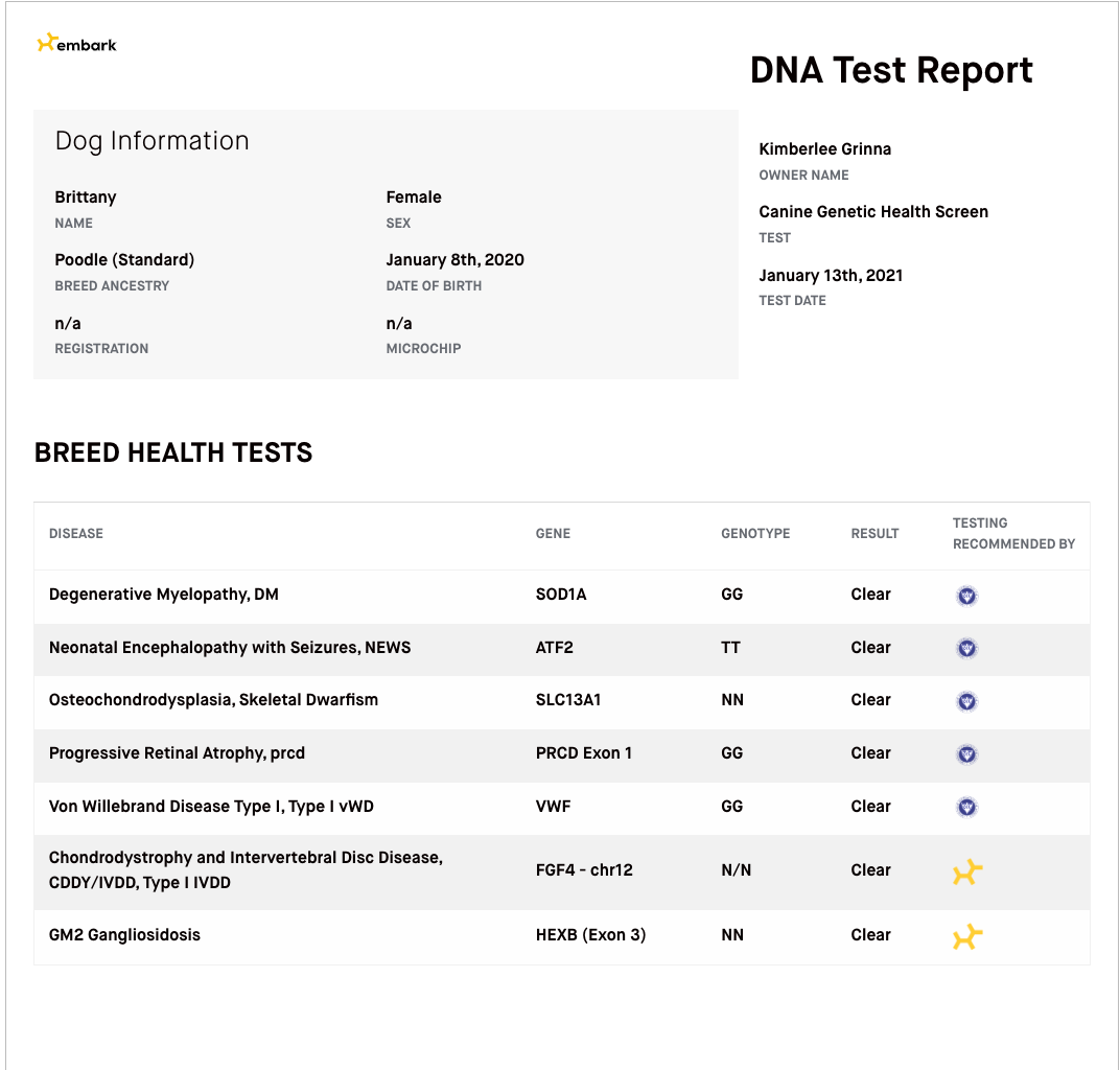 Breed relevant health testing for a female standard poodle