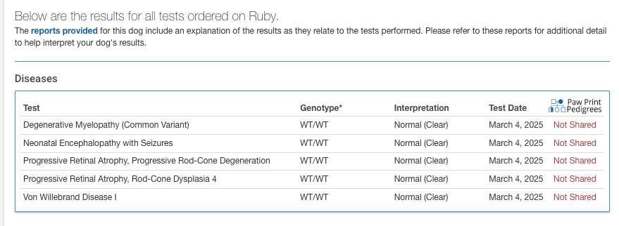 Breed relevant genetic testing for a standard poodle