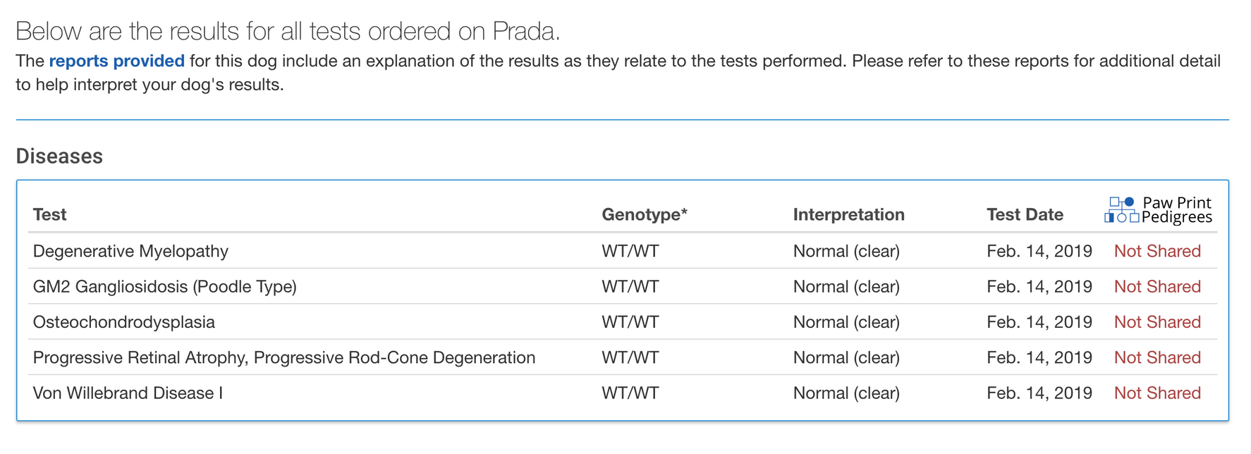 Breed relevant genetic testing for a poodle