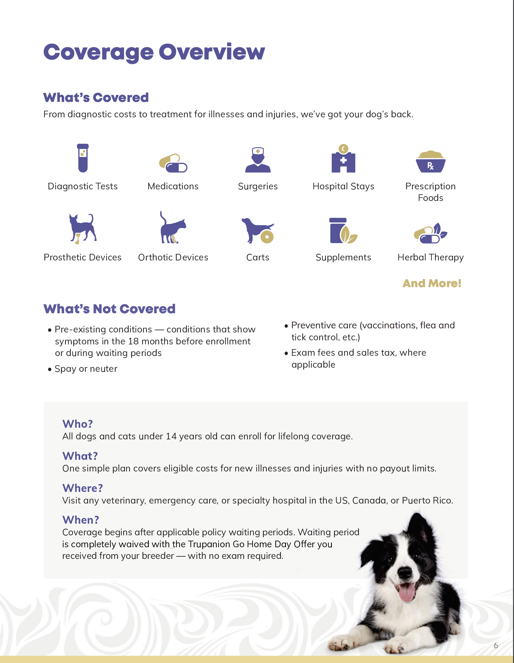 Pet insurance coverage overview