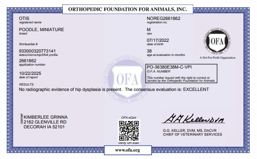 OFA Testing
AKC Certified Degree for Parent Dog, ethical health testing