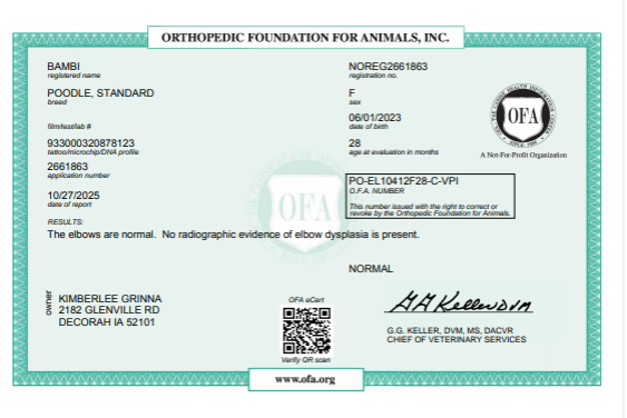 OFA Elbow certification document showing health testing results for a Kimberlee's Kennels Standard Poodle adult 