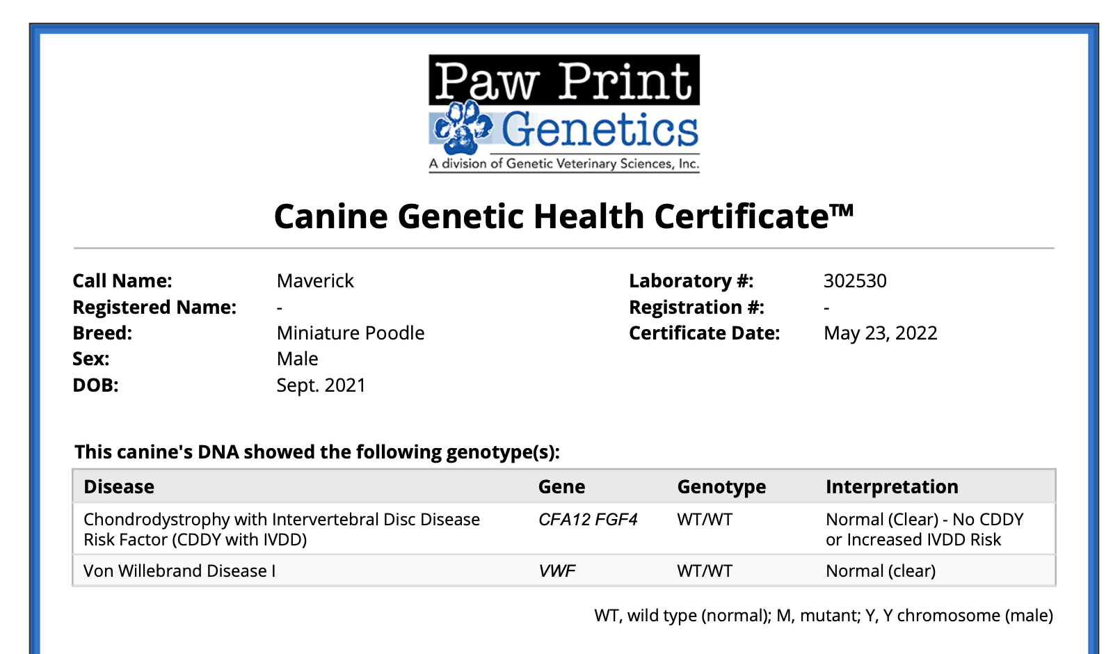 genetic health testing