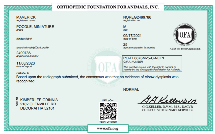 ofa health testing
