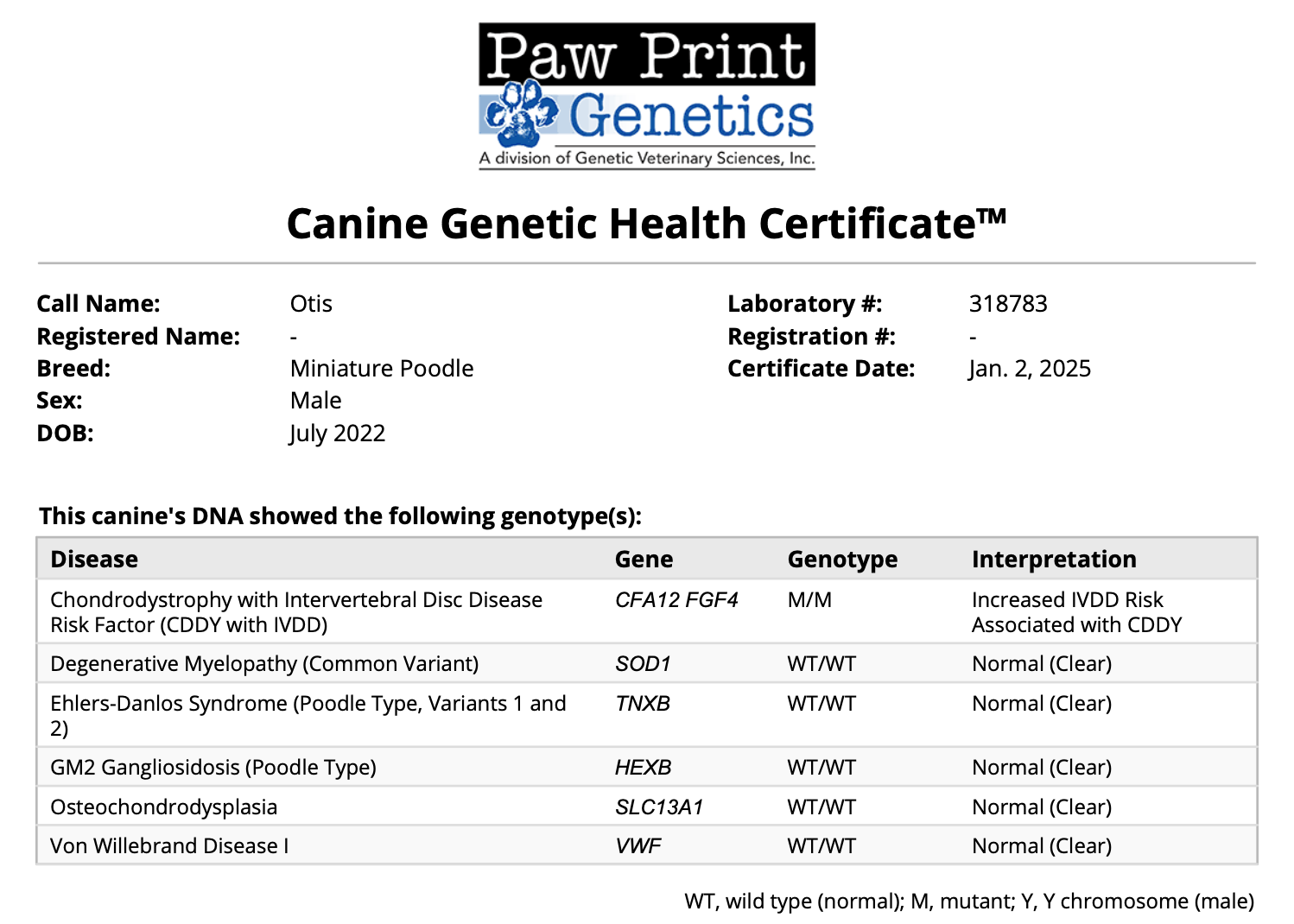 AKC Certified Degree for Parent Dog, ethical health testing Genetic testing