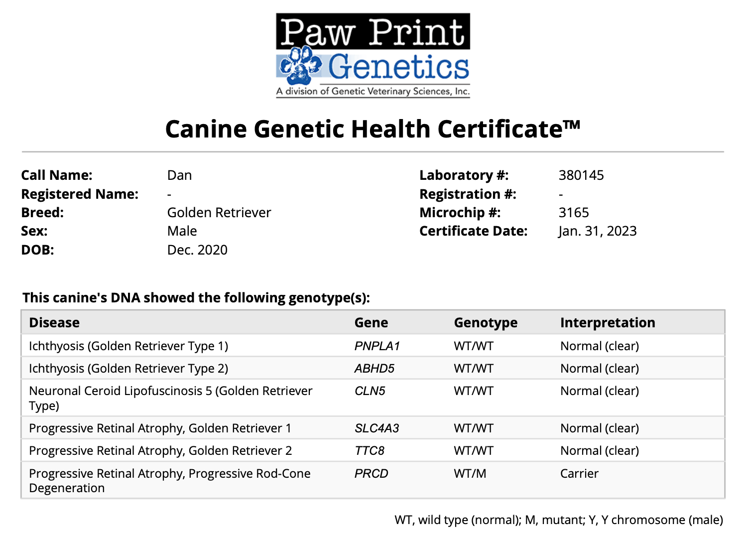 Breed relevant genetic health testing for a golden retriever
