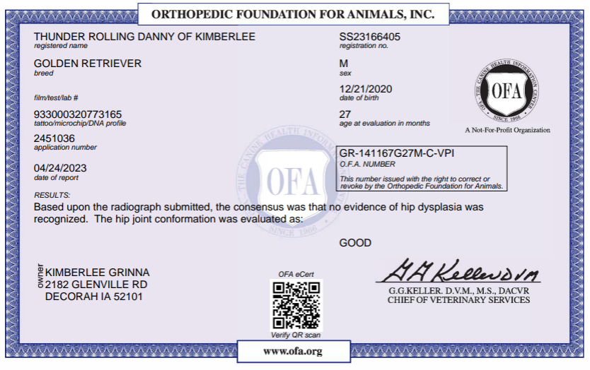 OFA results for a standard golden retriever