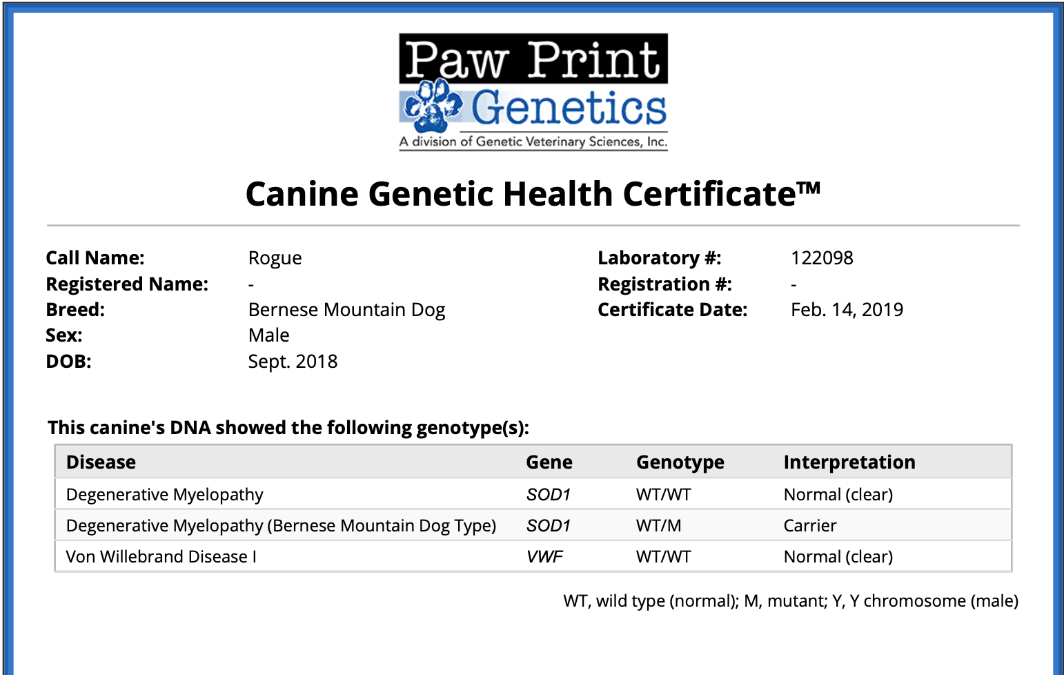 AKC Certified Degree for Parent Dog, ethical health testing Genetic testing 
