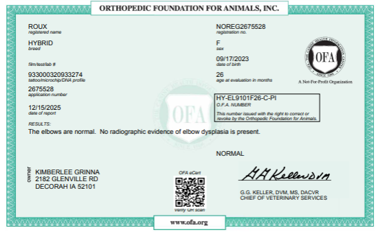 OFA Elbow certification document showing health testing results for a Kimberlee's Kennels Miniature Bernedoodle 