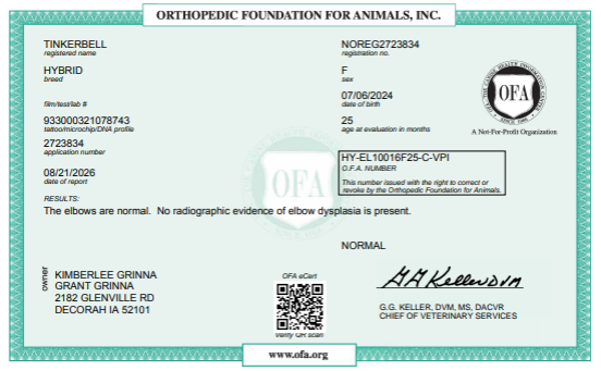 OFA Elbow certification document showing health testing results for a Kimberlee's Kennels Miniature Bernedoodle 