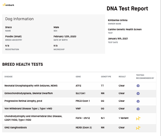 DNA Genetic health testing results for a breeding Dog at Kimberlee's Kennels
