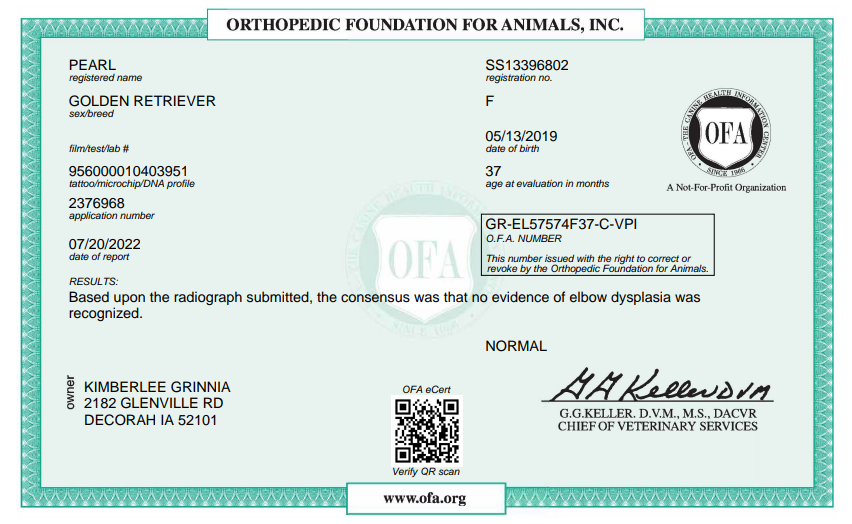 OFA Elbow certification document showing health testing results for a Kimberlee's Kennels English Retriever adult 