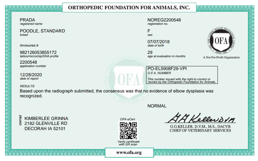OFA Elbow certification document showing health testing results for a Kimberlee's Kennels Standard Poodle adult 