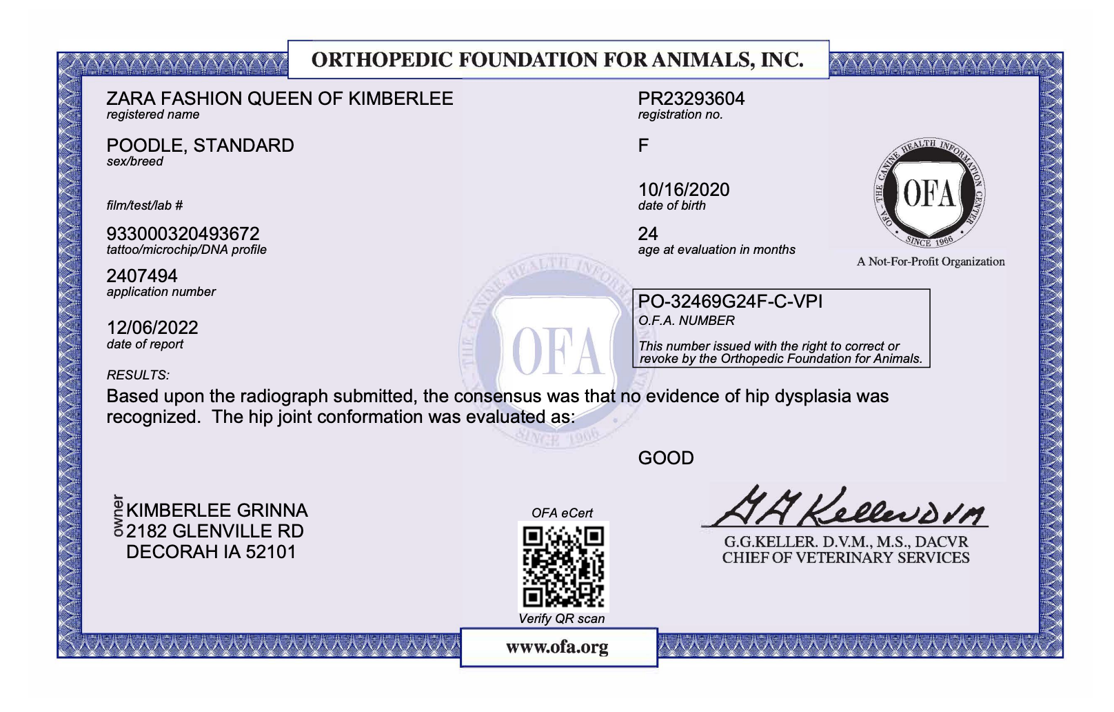 OFA hip certification document showing health testing results for a Kimberlee's Kennels standard poodle adult 

