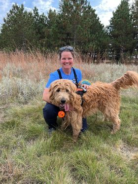 Search and Rescue Dog, certified service dog englishdoodle from Kimberlee's Kennels  