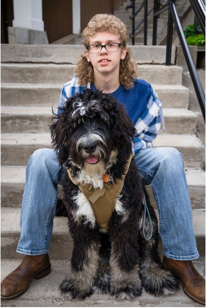 Emotional support standard bernedoodle dog for children from Kimberlee's Kennels 