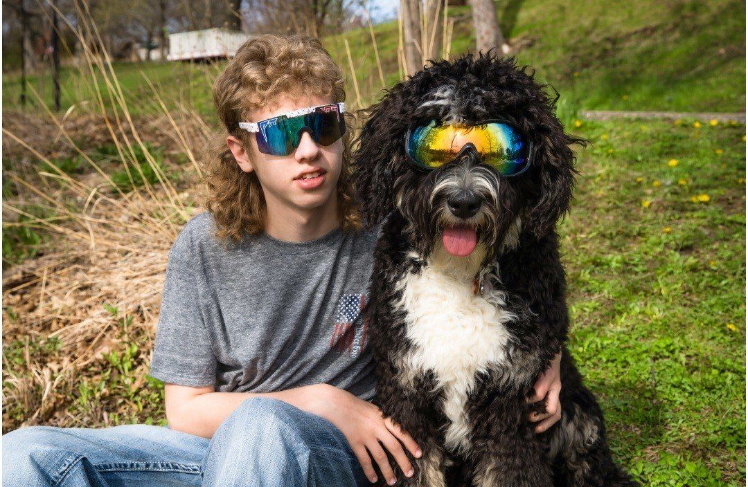 Emotional support standard bernedoodle dog for children from Kimberlee's Kennels 