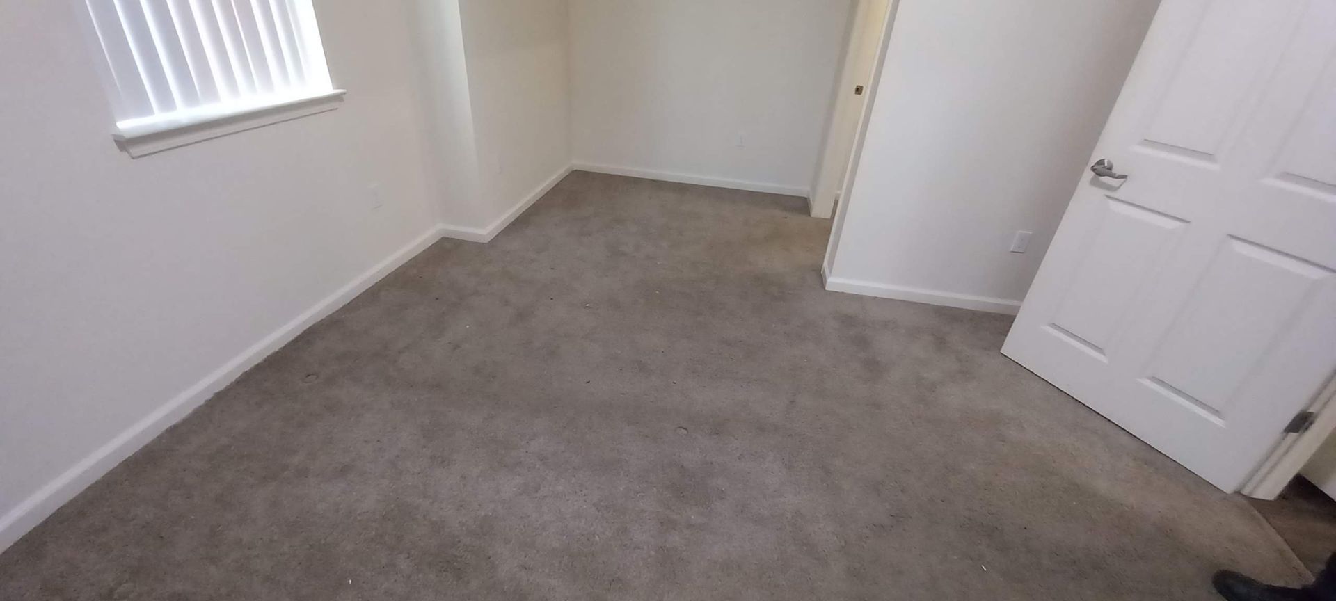 Dirty and pet stained carpet
