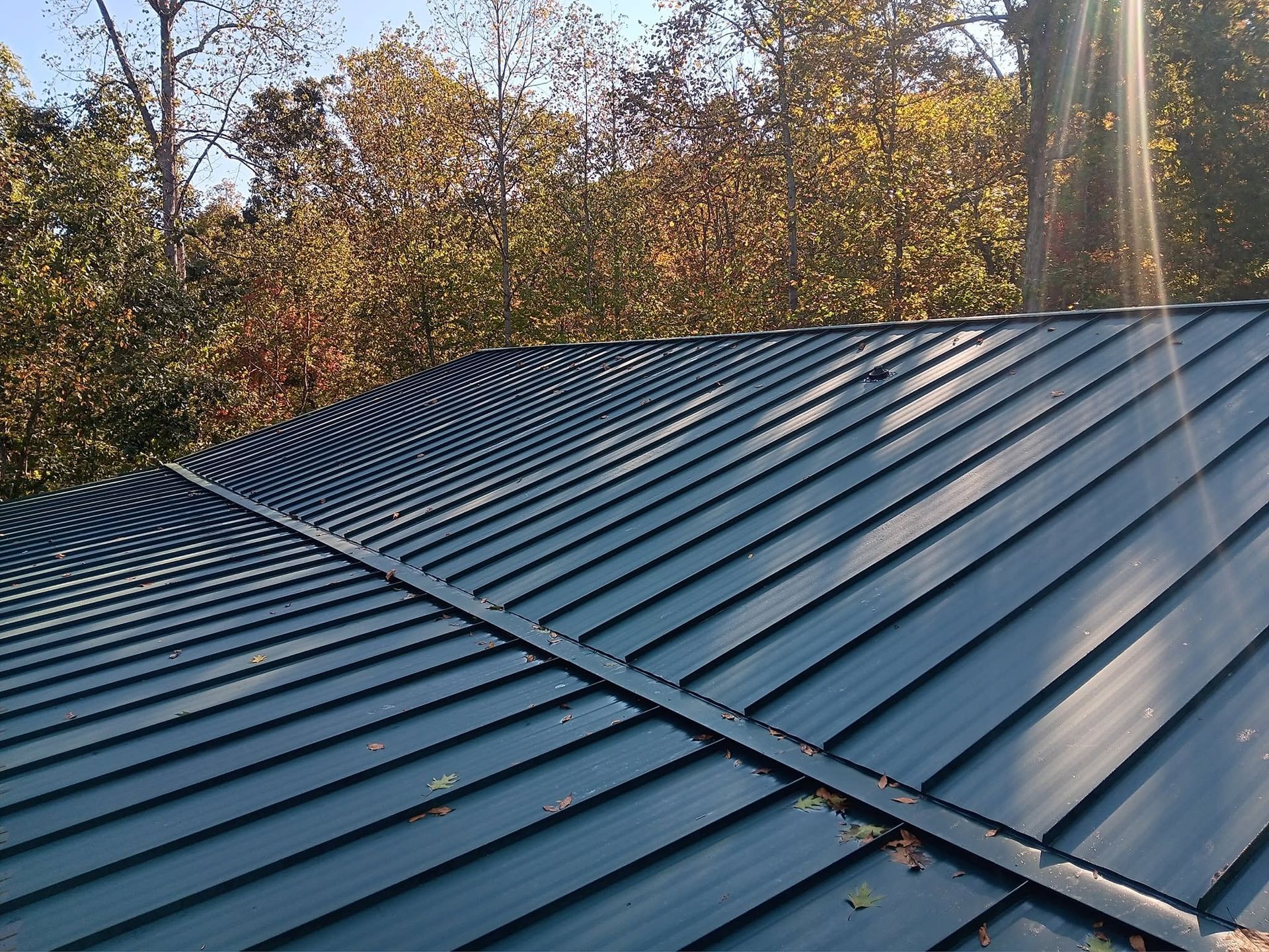 Blue metal roof with curved seams beside autumn trees in sunlight
