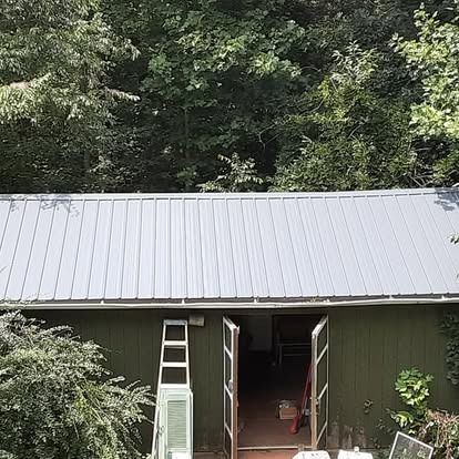 Green shed with a silver metal roof, open double doors, and a ladder leaning by the entrance in a wooded area