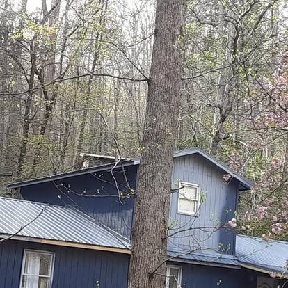 Blue house with metal roof partially hidden by a large tree in a wooded area