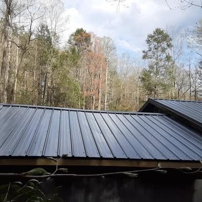 Black metal roof with trees and cloudy sky in the background