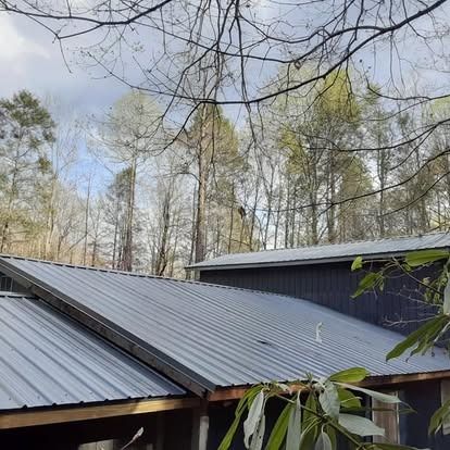 Gray metal roofs on cabins beneath bare trees in a wooded area